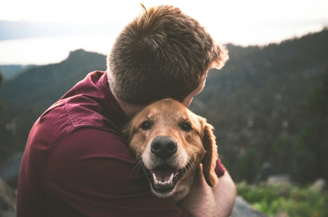 Thanksgiving Paws: Are Dog Owners Healthier?