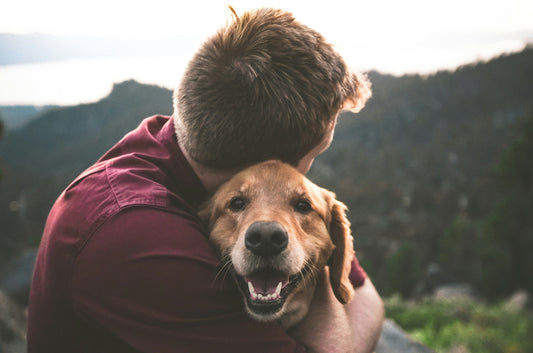 Thanksgiving Paws: Are Dog Owners Healthier?